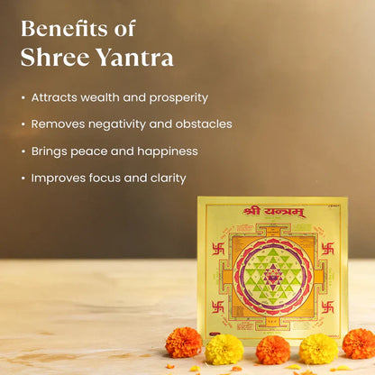 7 Horses on Raw Pyrite Frame with FREE Shree Yantra (6*6 inch)