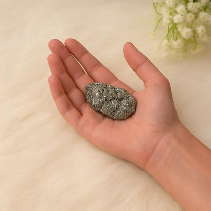 Ultimate Pyrite Vastu Combo with FREE Pyrite Stone